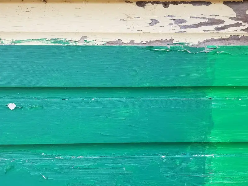 Thomas J. Painting service area covering the region, WA and surrounding neighborhoods