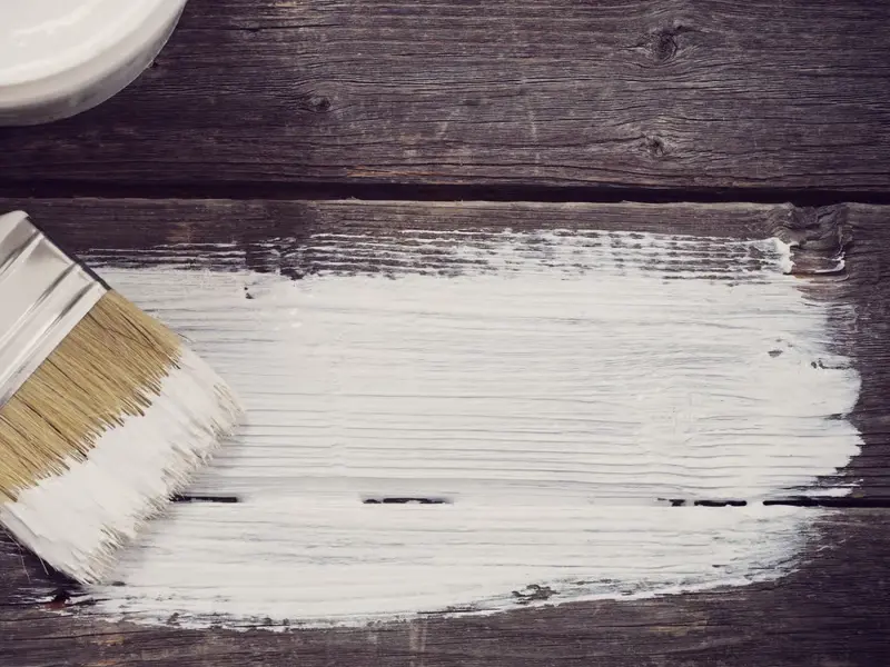 Thomas J. Painting service area covering Bellevue, WA and surrounding neighborhoods